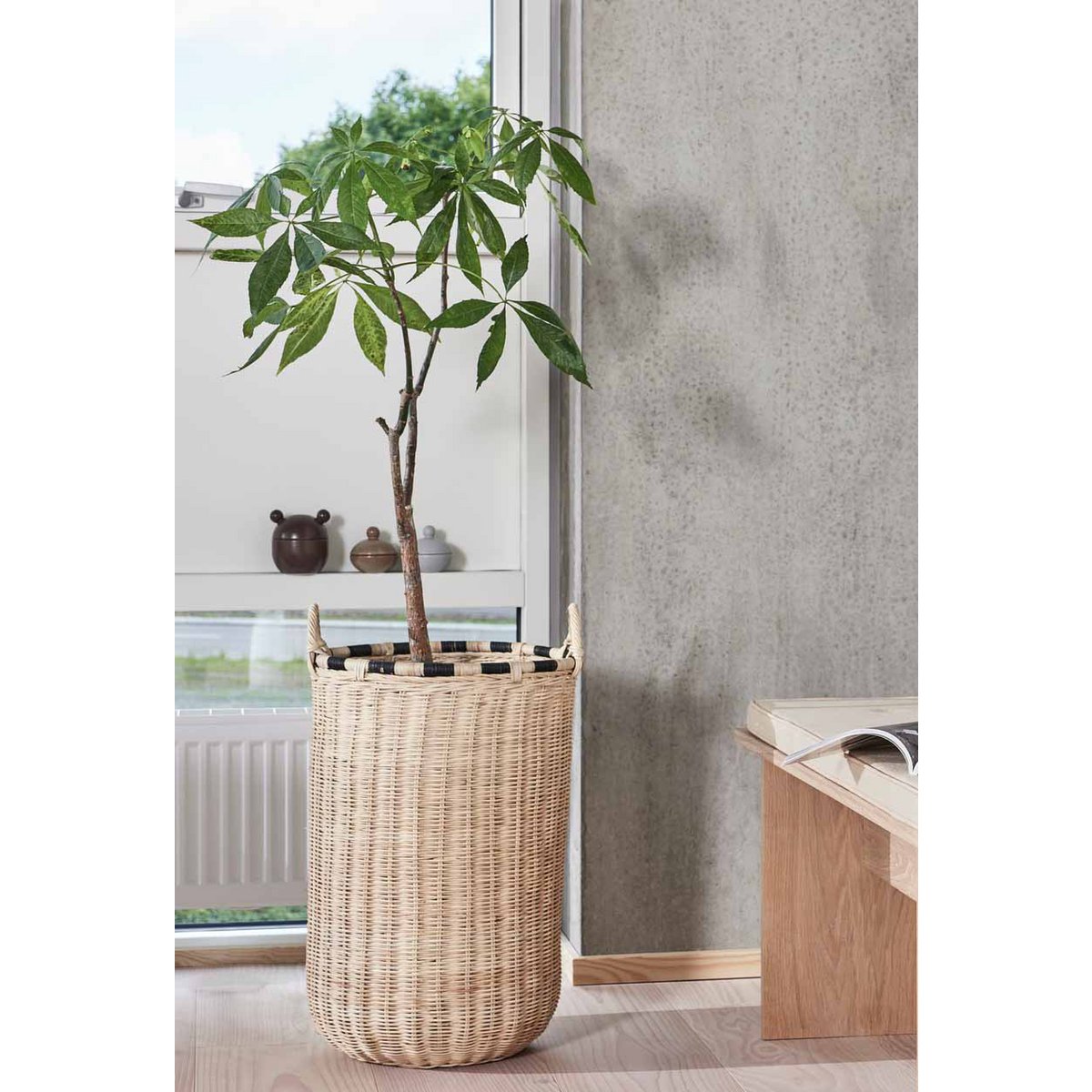 Potted plant in a woven basket on a wooden floor with a window and radiator in the background.